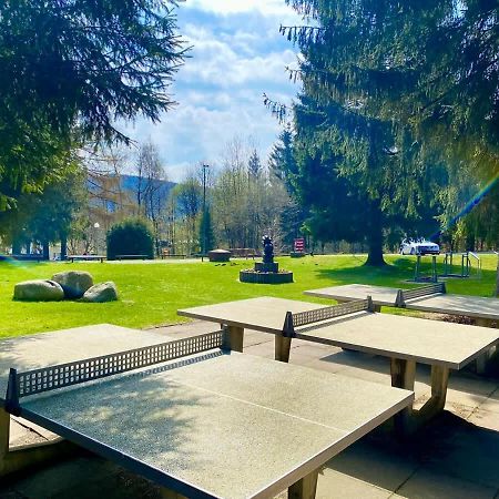 Relaxapartments Abendsonne Im Herzen Des Harzes - Ein El Dorado Fuer Wanderer, Biker Und Ruhesuchende - Mit Sonnigem Balkon Und Platz Fuer Bis Zu 3 Personen Goslar Exterior foto