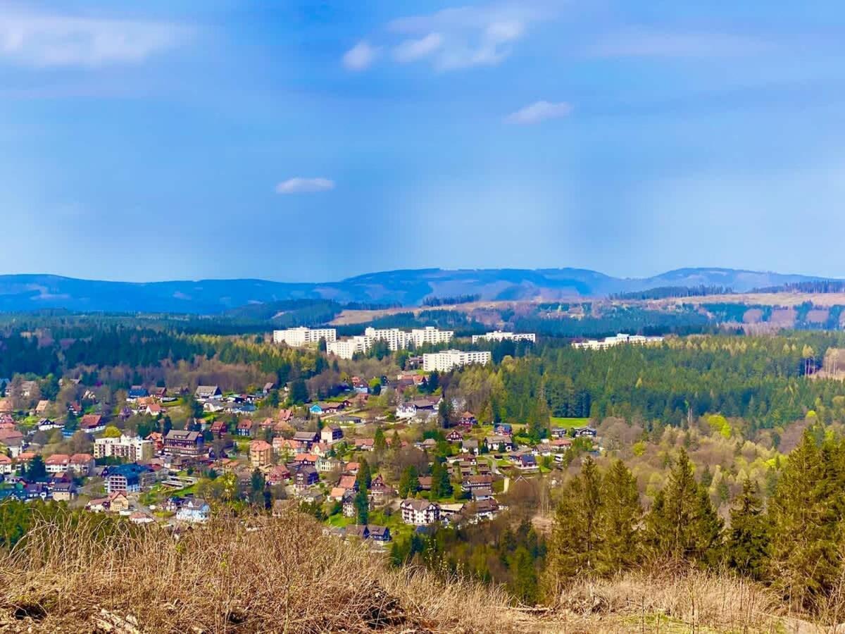 Relaxapartments Abendsonne Im Herzen Des Harzes - Ein El Dorado Fuer Wanderer, Biker Und Ruhesuchende - Mit Sonnigem Balkon Und Platz Fuer Bis Zu 3 Personen Goslar Exterior foto